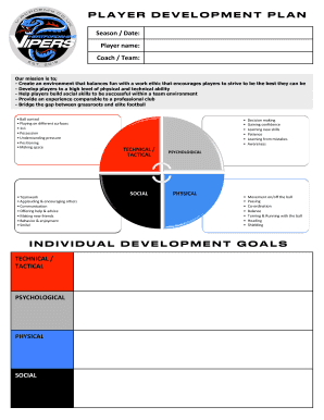 Player Development Plan
