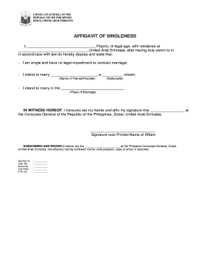 Affidavit of Single Status