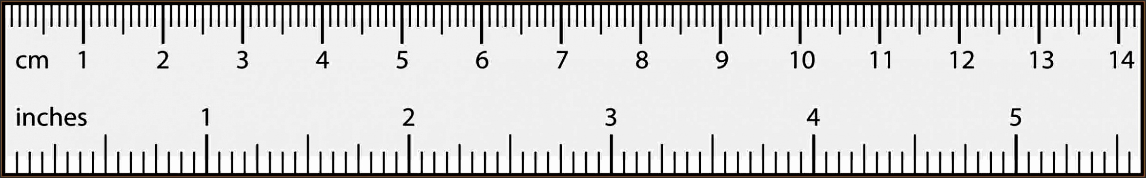 life size inch ruler